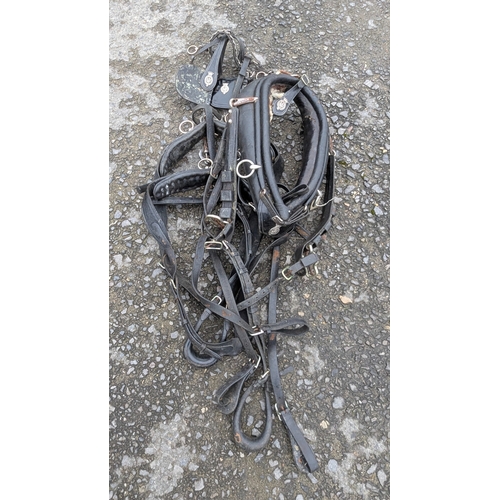 26 - An Ornate Set Of Horse Harnesses, Halters Etc.