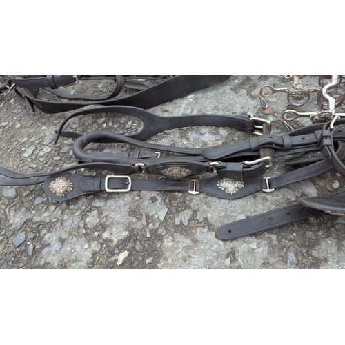 29 - 2 Crested Horse Harnesses And Bits