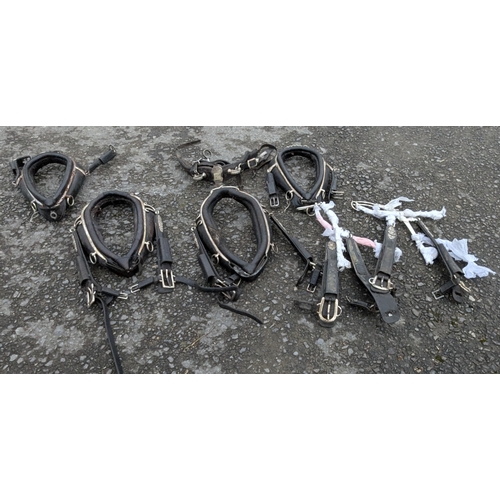 39 - An Assortment Of Crested Halters Etc.