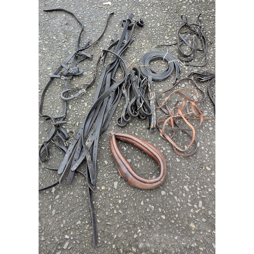 40 - An Assortment Of Traces, Harnesses And Halters Etc.