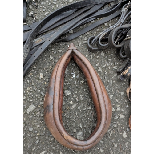 40 - An Assortment Of Traces, Harnesses And Halters Etc.