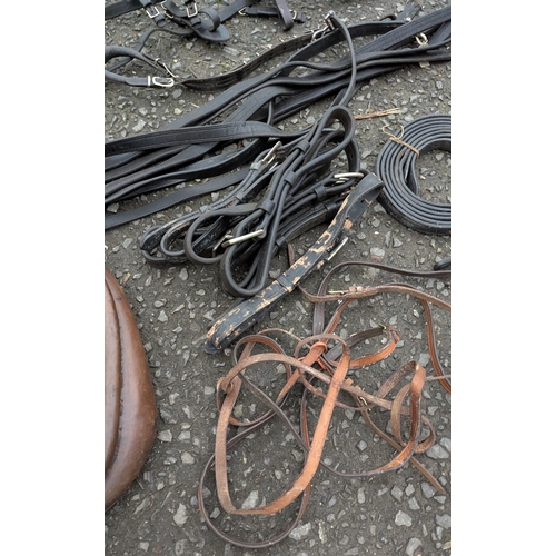 40 - An Assortment Of Traces, Harnesses And Halters Etc.