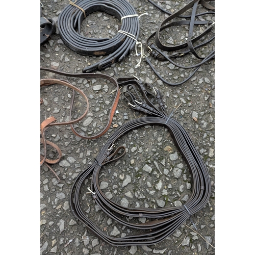 40 - An Assortment Of Traces, Harnesses And Halters Etc.