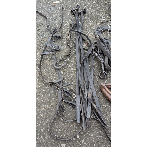 40 - An Assortment Of Traces, Harnesses And Halters Etc.