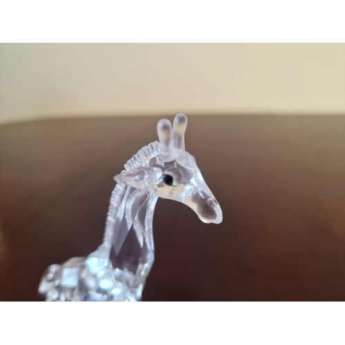 66 - Swarovski Crystal Baby Giraffe, from the 'African Wildlife' Themed Group, (# 236717 / 7603 000 002),... 