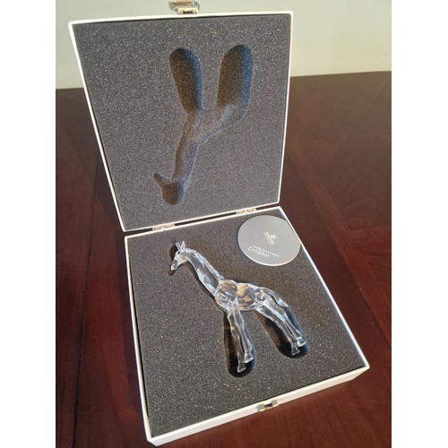 66 - Swarovski Crystal Baby Giraffe, from the 'African Wildlife' Themed Group, (# 236717 / 7603 000 002),... 