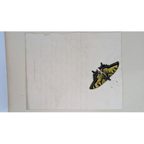 18 - A 19th Century Scrapbook Containing Original Artworks , Entomology, Antique Postcards, Prints and Cu... 