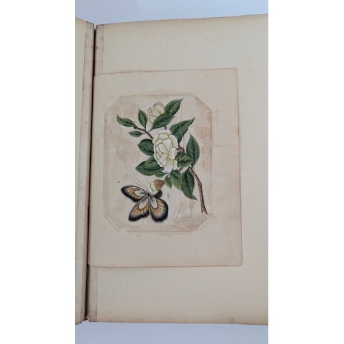 18 - A 19th Century Scrapbook Containing Original Artworks , Entomology, Antique Postcards, Prints and Cu... 