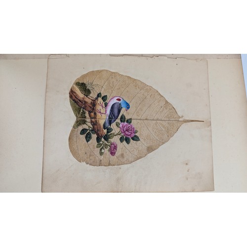 18 - A 19th Century Scrapbook Containing Original Artworks , Entomology, Antique Postcards, Prints and Cu... 