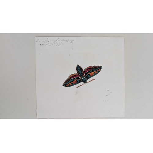 18 - A 19th Century Scrapbook Containing Original Artworks , Entomology, Antique Postcards, Prints and Cu... 