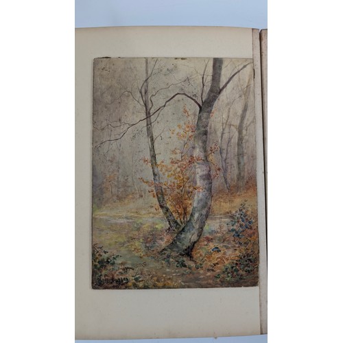 18 - A 19th Century Scrapbook Containing Original Artworks , Entomology, Antique Postcards, Prints and Cu... 