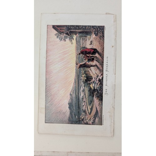 18 - A 19th Century Scrapbook Containing Original Artworks , Entomology, Antique Postcards, Prints and Cu... 