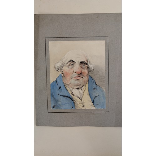 18 - A 19th Century Scrapbook Containing Original Artworks , Entomology, Antique Postcards, Prints and Cu... 