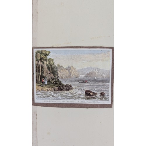 18 - A 19th Century Scrapbook Containing Original Artworks , Entomology, Antique Postcards, Prints and Cu... 