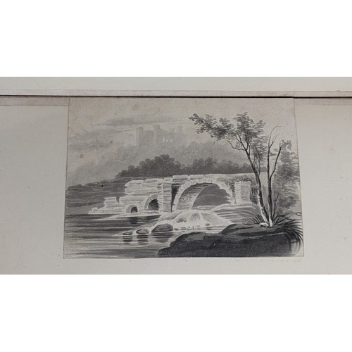 18 - A 19th Century Scrapbook Containing Original Artworks , Entomology, Antique Postcards, Prints and Cu... 