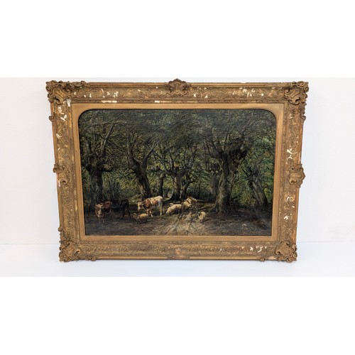 702 - An Antique Oil on Canvas of Cattle and Sheep in a Forest.  112cm x 84cm in Frame.  Unknown Artist