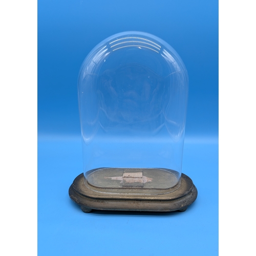 VICTORIAN GLASS DISPLAY DOME AND WOODEN BASE A clear glass display dome ...
