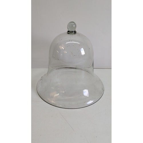 Lot 241       