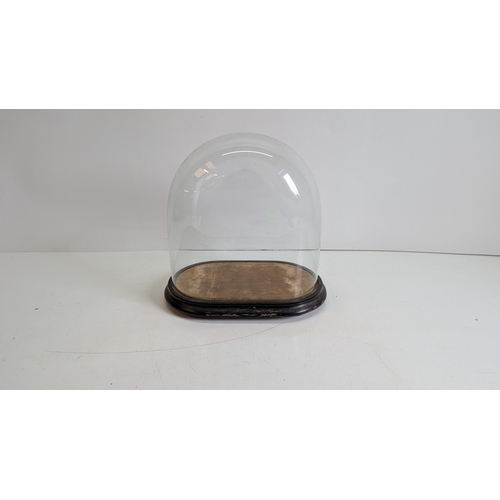 Lot 251       