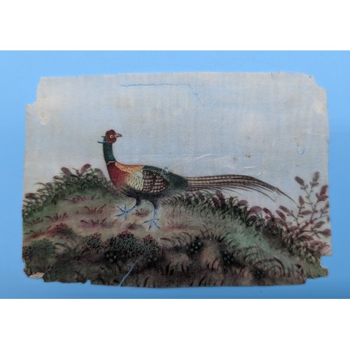 4 - Chinese School, Qing Dynasty, 19th century

 A collection of eight Chinese Export paintings on pith ... 