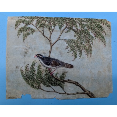 4 - Chinese School, Qing Dynasty, 19th century

 A collection of eight Chinese Export paintings on pith ... 