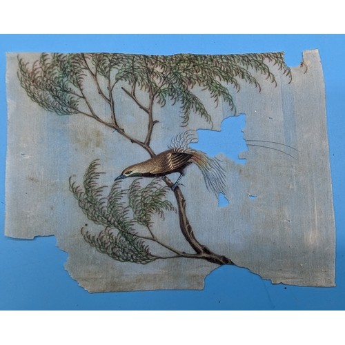 4 - Chinese School, Qing Dynasty, 19th century

 A collection of eight Chinese Export paintings on pith ... 