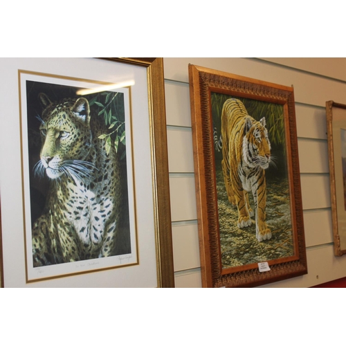 81 - 2x limited edition prints 1x leopard and 1x tiger  by artist Stephen Gayford 3 x other large framed ... 