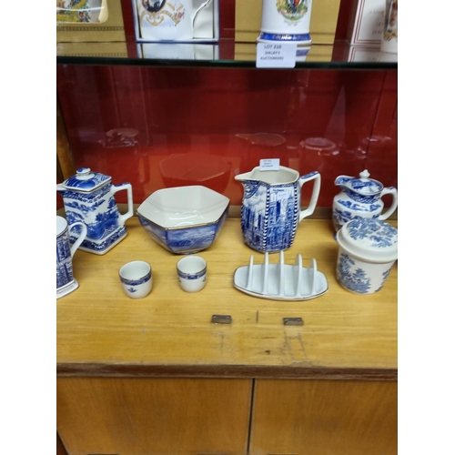 211 - 9 x various pieces of ringrons blue and white ware items with masons lidded pot