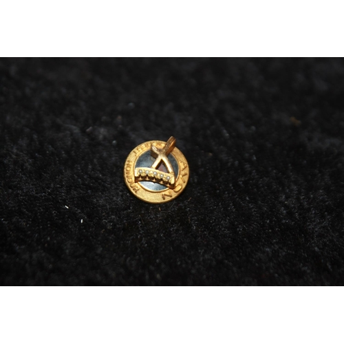 156 - 1 x 9ct gold avon highest honour pin badge