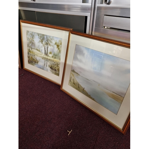 255 - 2 x framed water colours by artist mo Hitchens