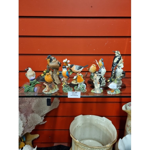 268 - 15x various border finearts and other makers bird figurines