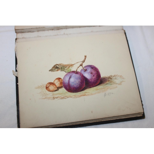 438 - 1x sketch pad with large amount of small watercolours the watercolours drawn in 1800s all signed by ... 