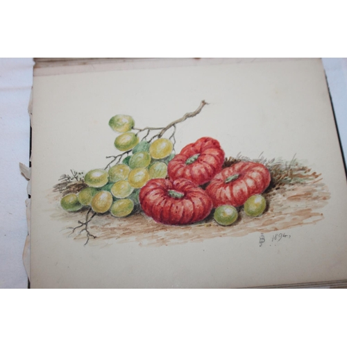 438 - 1x sketch pad with large amount of small watercolours the watercolours drawn in 1800s all signed by ... 