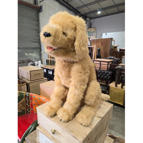Lot 26        