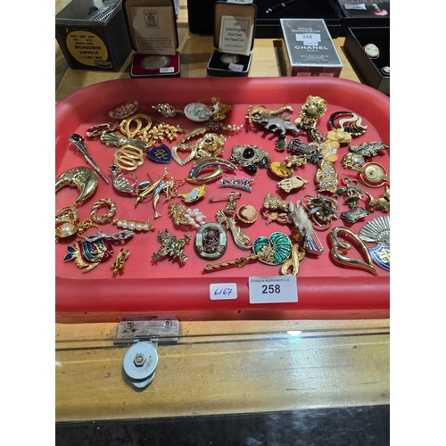 258 - tray containing various ladies brooches