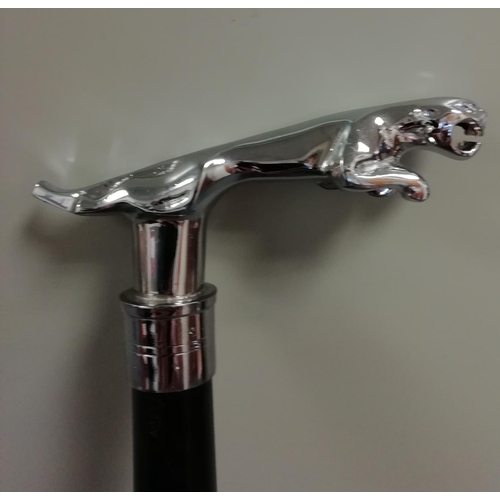 301 - Jaguar Handled Walking Stick