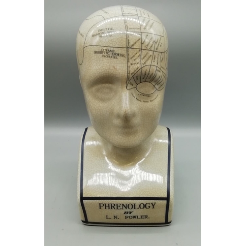 373 - Phrenology Head