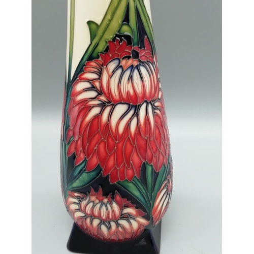 10A - Moorcroft Approx 34.5cm Vase 'Chrysanthemum' by Paul Hilditch - Best Quality