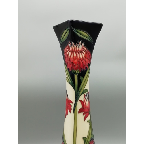 10A - Moorcroft Approx 34.5cm Vase 'Chrysanthemum' by Paul Hilditch - Best Quality