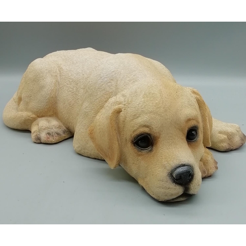 214 - Labrador Pup at Rest Figure (Approx 35cm Long)