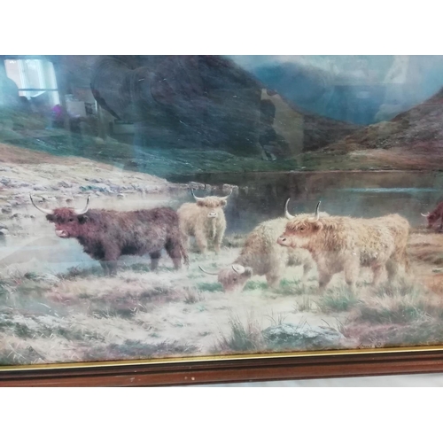50 - Framed and Glazed Print of 'Highland Cattle' by Louis B Hunt. 87cm x 62cm. This Lot is Collection On... 