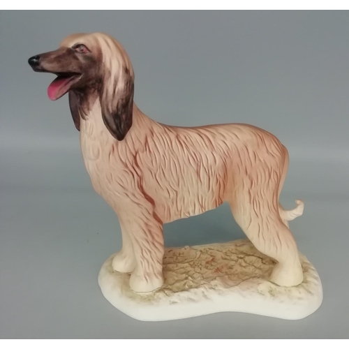 Lot 190       