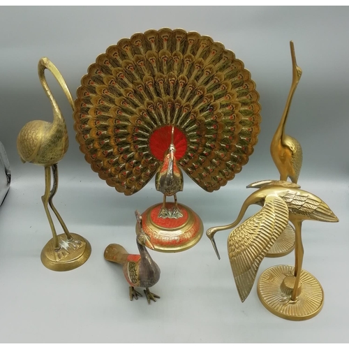 Lot 254       