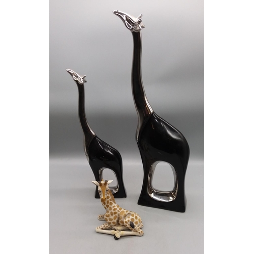 Lot 211A      