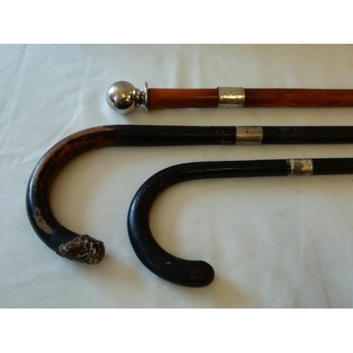 136 - Silver Ring Walking Sticks (3)