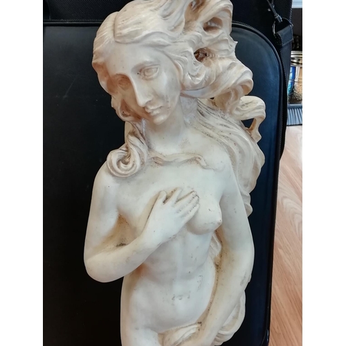 408 - Large 60cm Garden Statue of Venus Rising. Slight Fault, Chip to Hair. This Lot is Collection Only.