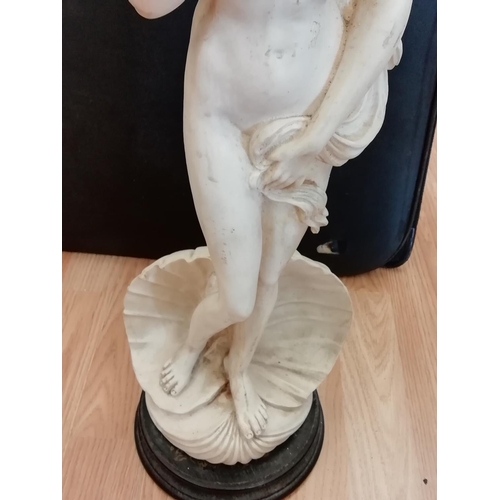 408 - Large 60cm Garden Statue of Venus Rising. Slight Fault, Chip to Hair. This Lot is Collection Only.