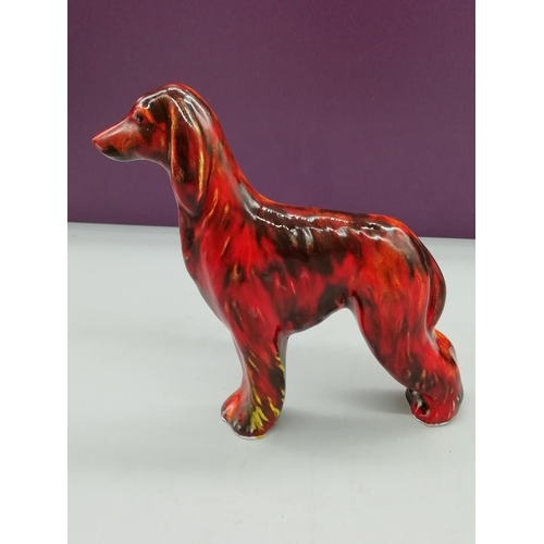 12 - Anita Harris Art Pottery Figure of an Afghan Hound Dog. 15cm High.