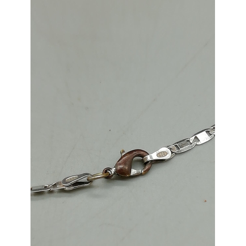 272 - Sterling Silver Chain and Pendant. Clasp not Silver.