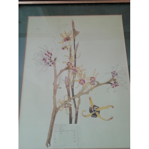 286 - Framed and Glazed Pictures (6) including Charles Rennie Mackintosh Floral Prints. This Lot is Collec... 